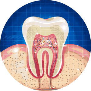 kinesiología del sistema dental
